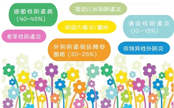 婦科炎症科普:外陰陰道炎