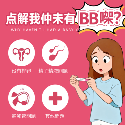 點解一直懷唔上BB?香港夫妻備孕一年仍未成功的常見原因